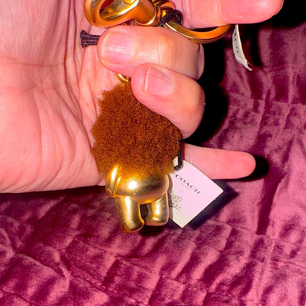 Coach Nwt 2018 Retired Coach Wizard of Oz Bear Keychain Charm the cowardly lion. - Picture 13 of 13
